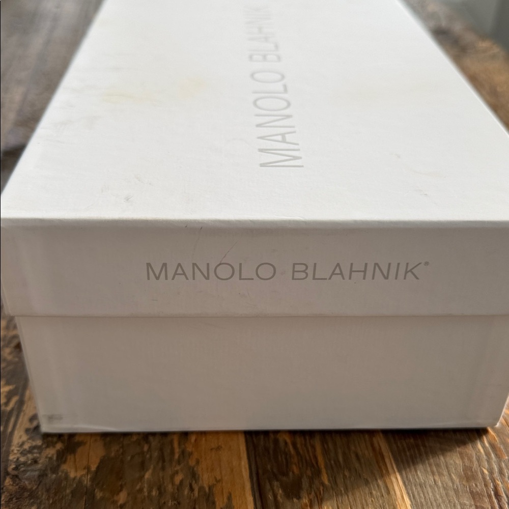 Manolo Blahnik Blue Satin Hangisi pumps - Picture 14 of 16